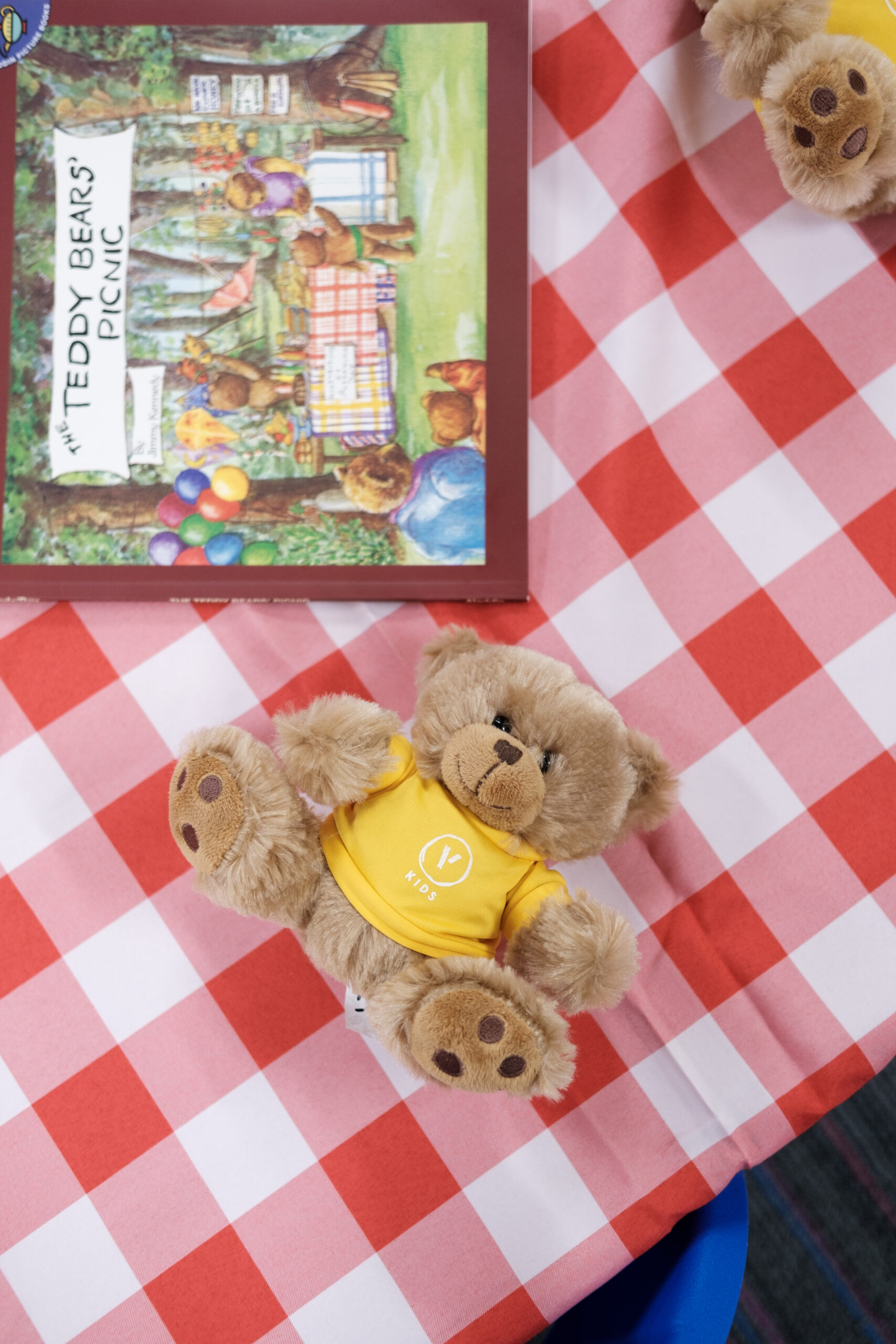 Teddy Bear laying on a picnic blanket.